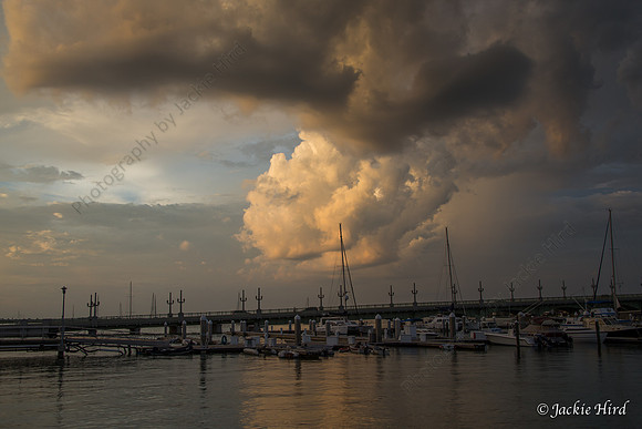 3891 Bridge of Lions with moody sky
